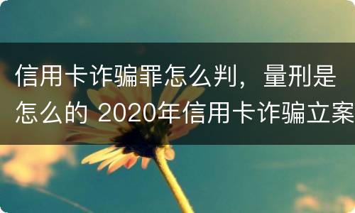 信用卡诈骗罪怎么判，量刑是怎么的 2020年信用卡诈骗立案标准