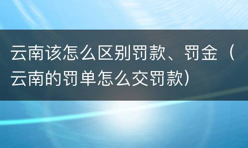 云南该怎么区别罚款、罚金（云南的罚单怎么交罚款）