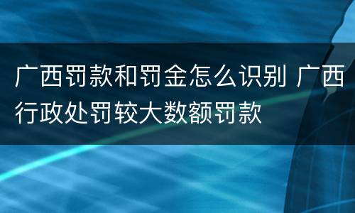 广西罚款和罚金怎么识别 广西行政处罚较大数额罚款