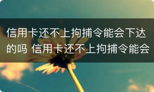 信用卡还不上拘捕令能会下达的吗 信用卡还不上拘捕令能会下达的吗知乎