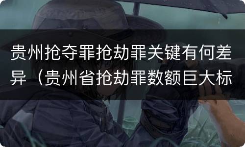 贵州抢夺罪抢劫罪关键有何差异（贵州省抢劫罪数额巨大标准）