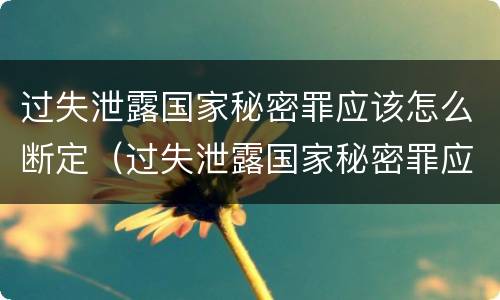 过失泄露国家秘密罪应该怎么断定（过失泄露国家秘密罪应该怎么断定呢）