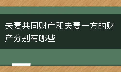 夫妻共同财产和夫妻一方的财产分别有哪些