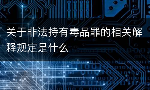 关于非法持有毒品罪的相关解释规定是什么