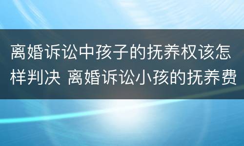 离婚诉讼中孩子的抚养权该怎样判决 离婚诉讼小孩的抚养费怎么算