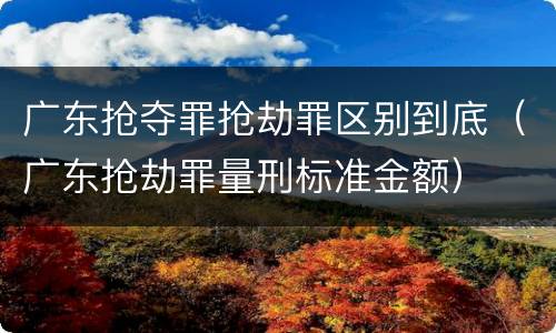 广东抢夺罪抢劫罪区别到底（广东抢劫罪量刑标准金额）