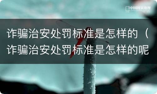 诈骗治安处罚标准是怎样的（诈骗治安处罚标准是怎样的呢）