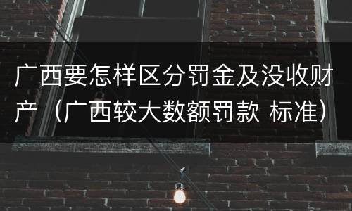 广西要怎样区分罚金及没收财产（广西较大数额罚款 标准）