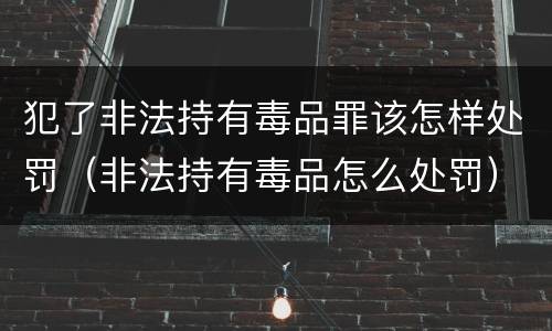 犯了非法持有毒品罪该怎样处罚（非法持有毒品怎么处罚）