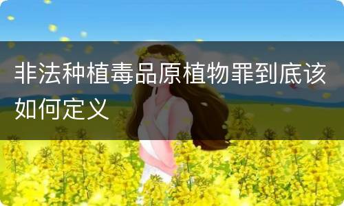 非法种植毒品原植物罪到底该如何定义