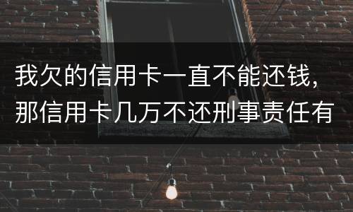 我欠的信用卡一直不能还钱，那信用卡几万不还刑事责任有吗