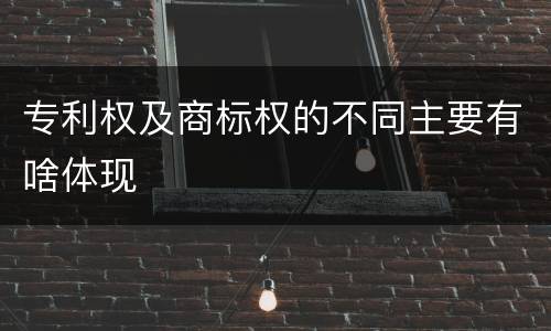 专利权及商标权的不同主要有啥体现