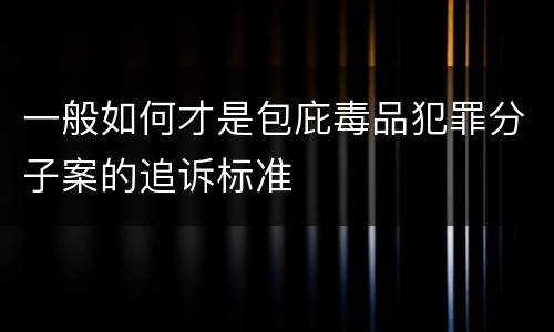 一般如何才是包庇毒品犯罪分子案的追诉标准