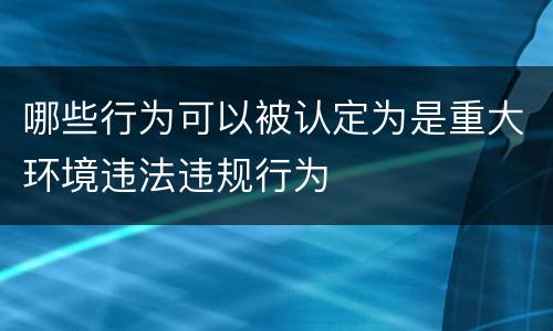 哪些行为可以被认定为是重大环境违法违规行为