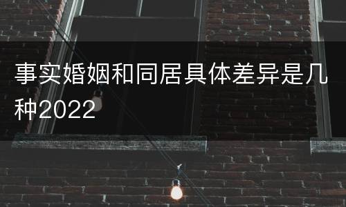 事实婚姻和同居具体差异是几种2022