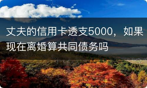 丈夫的信用卡透支5000，如果现在离婚算共同债务吗