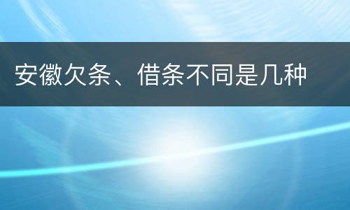 安徽欠条、借条不同是几种