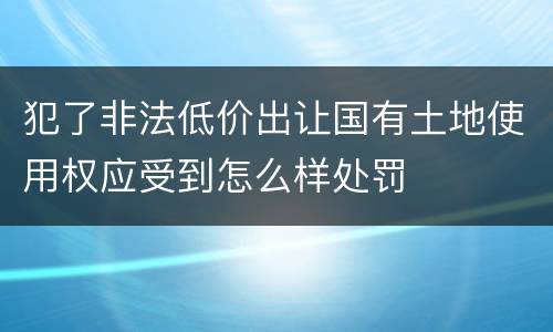 犯了非法低价出让国有土地使用权应受到怎么样处罚