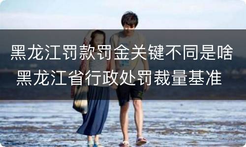 黑龙江罚款罚金关键不同是啥 黑龙江省行政处罚裁量基准