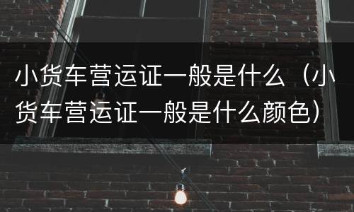 小货车营运证一般是什么（小货车营运证一般是什么颜色）