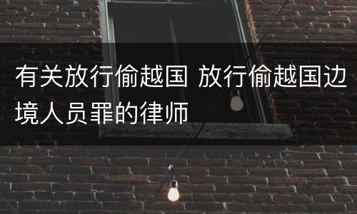 有关放行偷越国 放行偷越国边境人员罪的律师