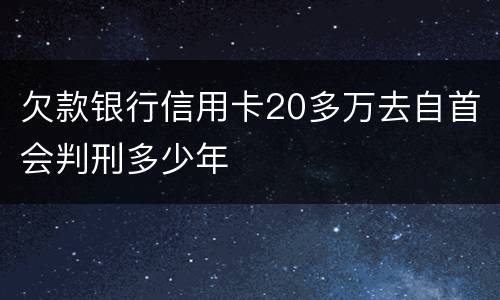 欠款银行信用卡20多万去自首会判刑多少年