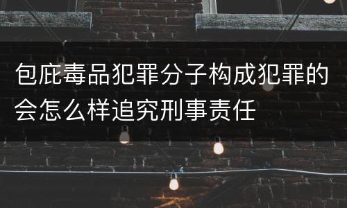 包庇毒品犯罪分子构成犯罪的会怎么样追究刑事责任