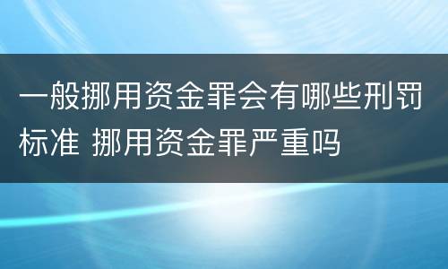 一般挪用资金罪会有哪些刑罚标准 挪用资金罪严重吗