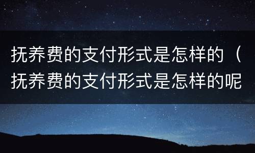 抚养费的支付形式是怎样的（抚养费的支付形式是怎样的呢）