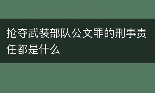 抢夺武装部队公文罪的刑事责任都是什么