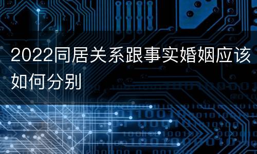 2022同居关系跟事实婚姻应该如何分别