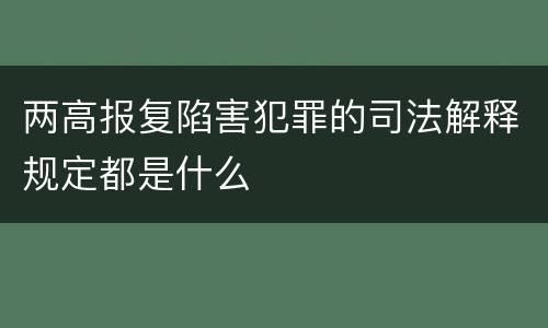 两高报复陷害犯罪的司法解释规定都是什么