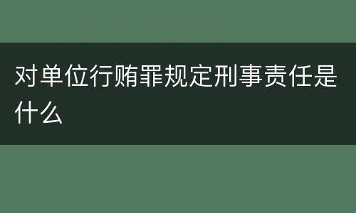 对单位行贿罪规定刑事责任是什么