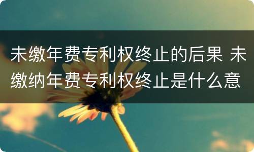 未缴年费专利权终止的后果 未缴纳年费专利权终止是什么意思