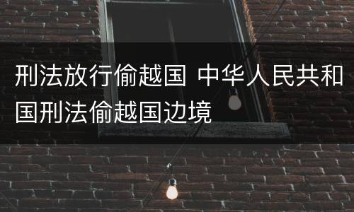 刑法放行偷越国 中华人民共和国刑法偷越国边境