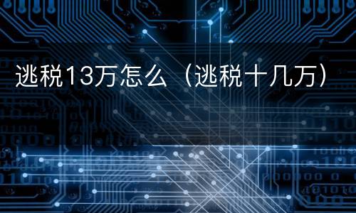 逃税13万怎么（逃税十几万）