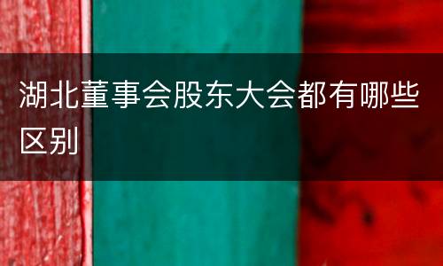 湖北董事会股东大会都有哪些区别