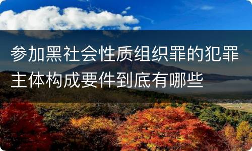 参加黑社会性质组织罪的犯罪主体构成要件到底有哪些