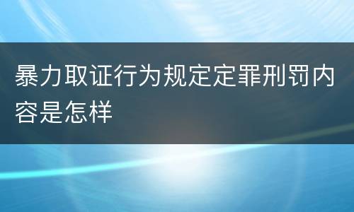 暴力取证行为规定定罪刑罚内容是怎样