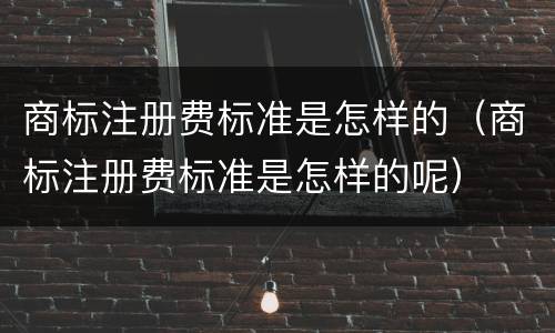 商标注册费标准是怎样的（商标注册费标准是怎样的呢）