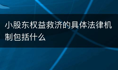 小股东权益救济的具体法律机制包括什么