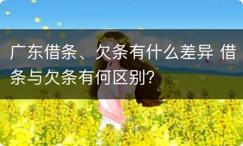 广东借条、欠条有什么差异 借条与欠条有何区别?