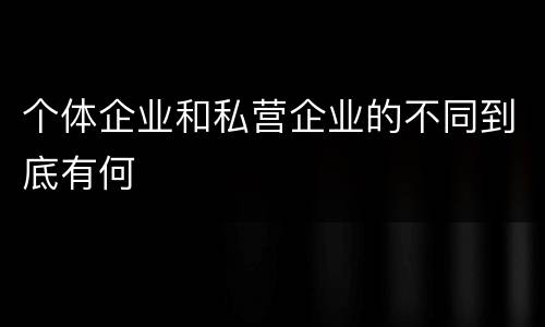 个体企业和私营企业的不同到底有何