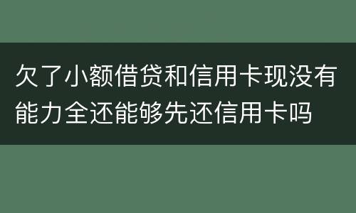 欠了小额借贷和信用卡现没有能力全还能够先还信用卡吗