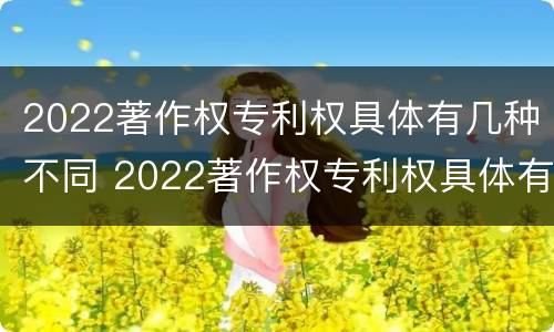 2022著作权专利权具体有几种不同 2022著作权专利权具体有几种不同类型