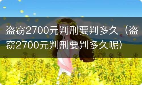 盗窃2700元判刑要判多久（盗窃2700元判刑要判多久呢）