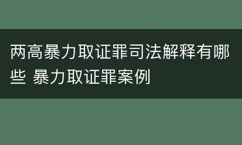 两高暴力取证罪司法解释有哪些 暴力取证罪案例