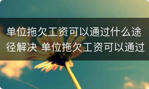 单位拖欠工资可以通过什么途径解决 单位拖欠工资可以通过什么途径解决问题