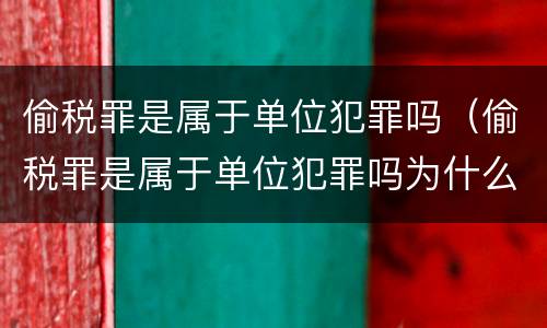 偷税罪是属于单位犯罪吗（偷税罪是属于单位犯罪吗为什么）