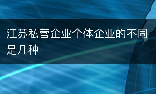 江苏私营企业个体企业的不同是几种